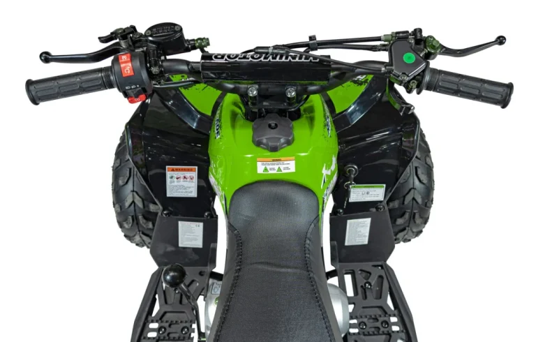 Renegade 110cc Benzinski Quad Zeleni 11