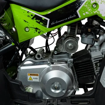 Renegade 110cc Benzinski Quad Zeleni 14