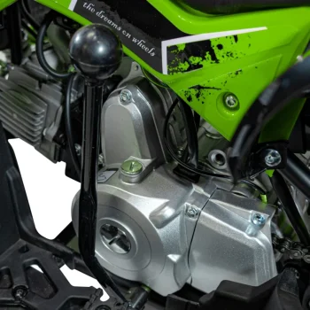 Renegade 110cc Benzinski Quad Zeleni 15
