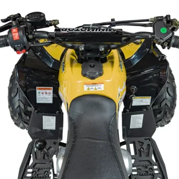 Renegade 110cc Benzinski Quad žuti 11