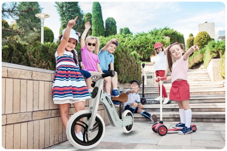 Ricokids Rc 618 Plavi Drveni Balansni Bicikl 10
