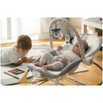 Ricokids Ljuljačka S Vibracijama Vrijesak 7