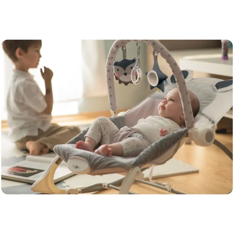 Ricokids Ljuljačka S Vibracijama Vrijesak 8