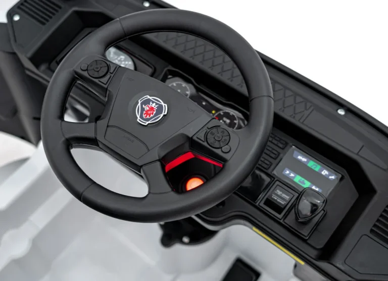 Scania R Serie Bijelo Vozilo 11