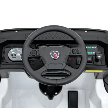 Scania R Serie Bijelo Vozilo 12