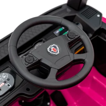 Scania R Serie Ružičasto Vozilo 13