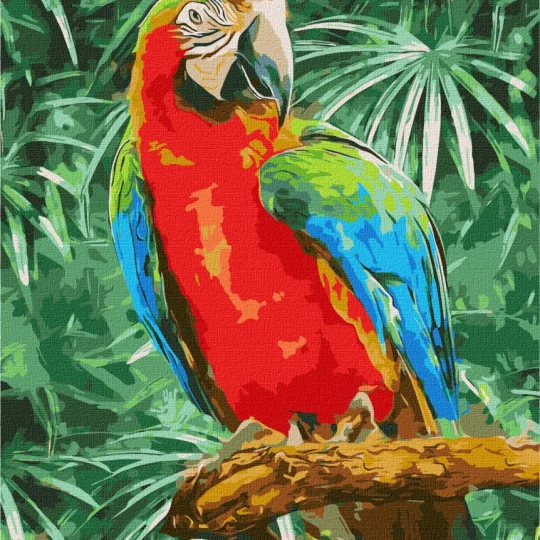 Slikanje Po Brojevima Dugina Ljepota 40 × 50 Cm 1