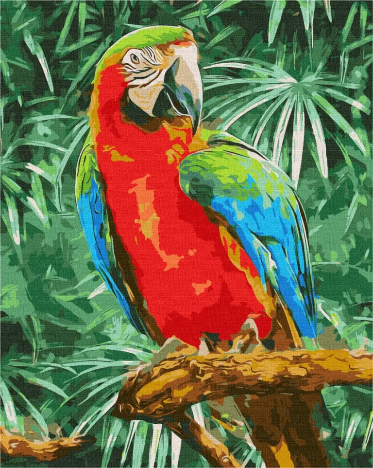 Slikanje Po Brojevima Dugina Ljepota 40 × 50 Cm 1