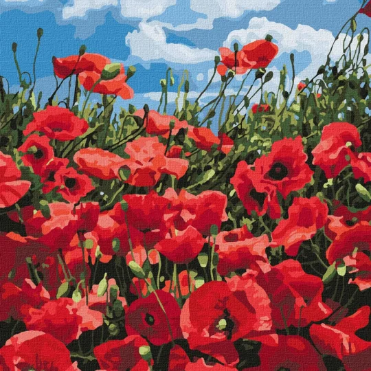 Slikanje Po Brojevima Nevjerojatni Makovi 40 × 50 Cm 1