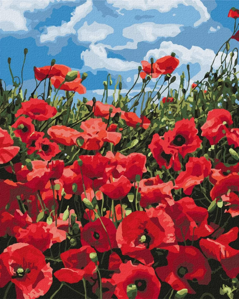 Slikanje Po Brojevima Nevjerojatni Makovi 40 × 50 Cm 1