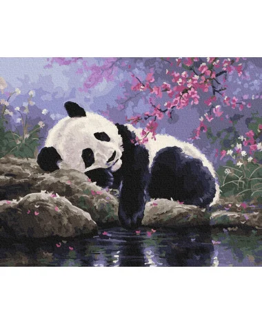 Slikanje Po Brojevima Panda Na Odmoru 40×50 1