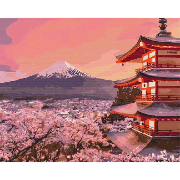 Slikanje Po Brojevima Ružičasti Pogled 40×50 1