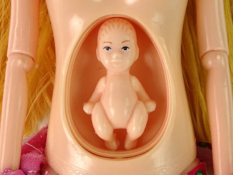 Trudna Lutka Ružičasta Cvjetna 30 Cm 3