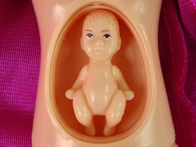Trudna Lutka S Otvorenim Trbuhom Siva Haljina 4