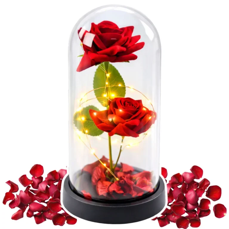 Vječne 2 Ruže U Kupoli S Led Rasvjetom Crvene 21 × 11 Cm 7