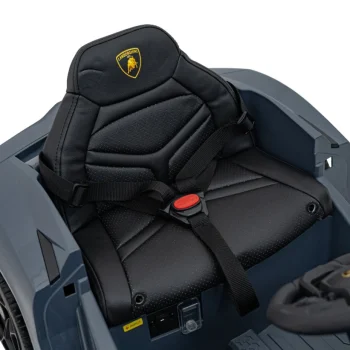 Vozilo Lamborghini Revuelto Grey 21