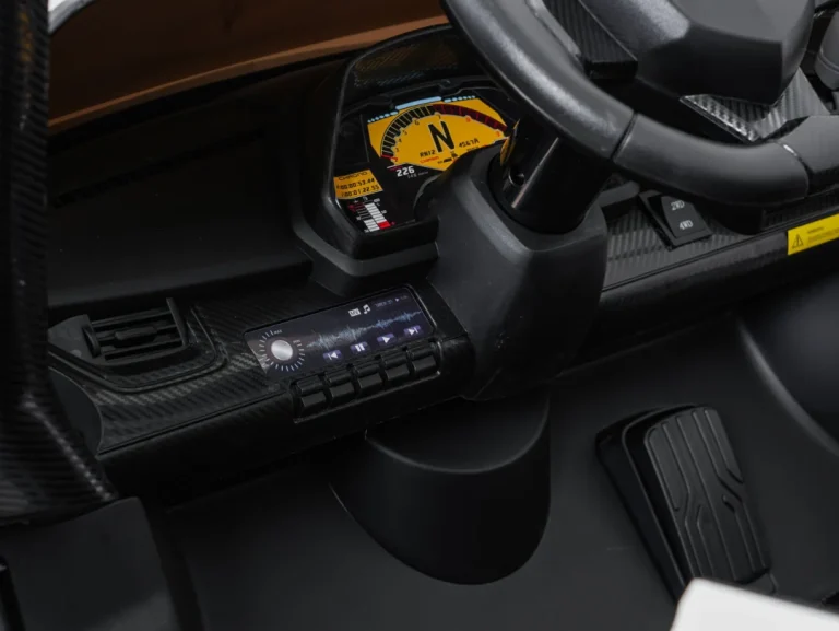 Vozilo Lamborghini Veneno Bijela 19