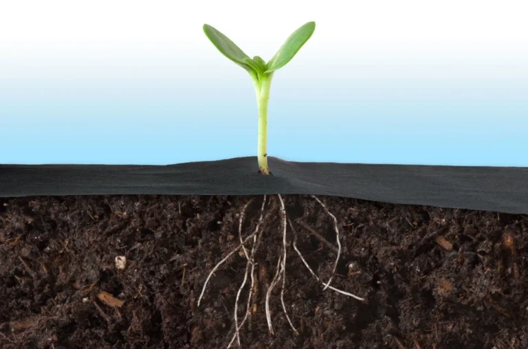 Vrtni Agrotekstil 0,8 Mx 100 M + 100 Plonos Igala 7