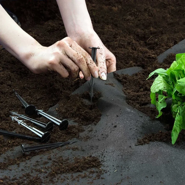 Vrtni Agrotekstil 1 M X 50 M + 50 Plonos Iglica Crni 6
