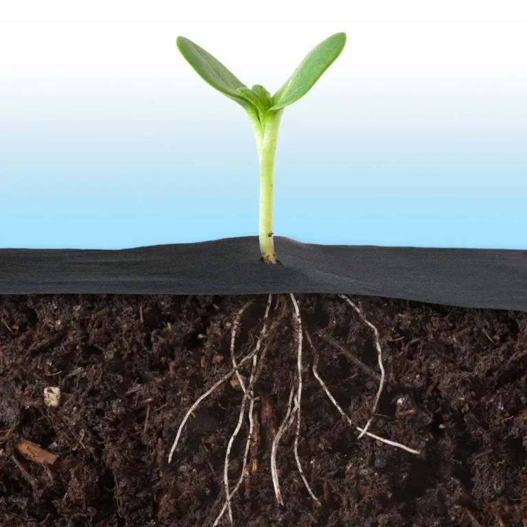Vrtni Agrotekstil 1 M X 50 M + 50 Plonos Iglica Crni 8