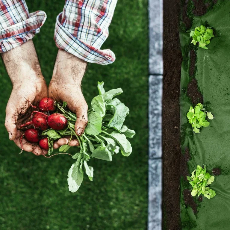 Vrtni Agrotekstil 1,6 M X 100 M + 100 Plonos Klinova Zeleni (4905) 4