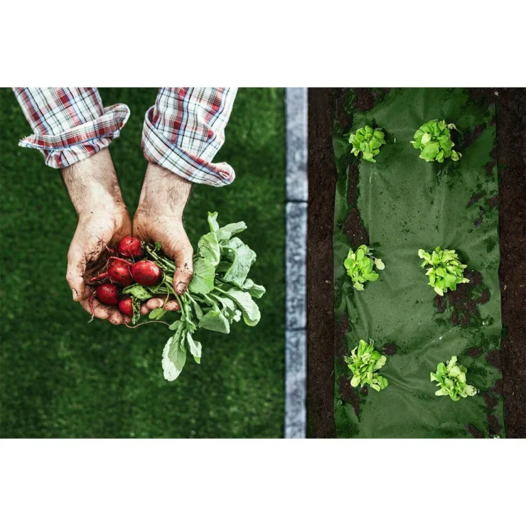 Vrtni Agrotekstil 1,6 M X 100 M 90 G/m2 + 100 Plonos Iglica Zeleni 4