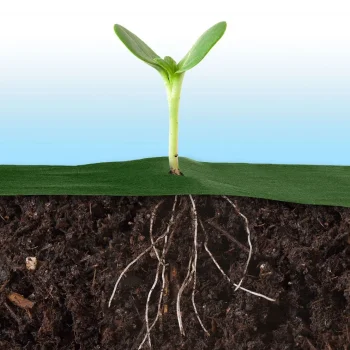 Vrtni Agrotekstil 1,6 M X 50 M + 100 Plonos Iglica Zeleni (490201) 6