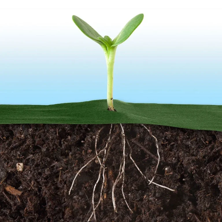 Vrtni Agrotekstil 1,6 M X 50 M + 100 Plonos Iglica Zeleni (490201) 6