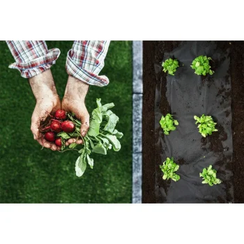 Vrtni Agrotekstil 1,6 M X 50 M 70 G/m2 + 100 Plonos Iglica Crni 4