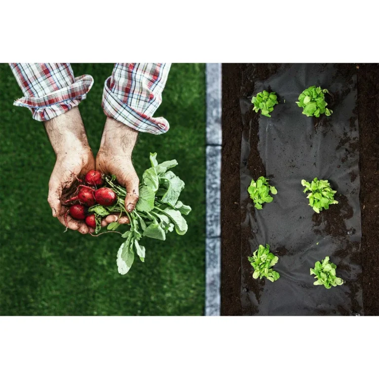 Vrtni Agrotekstil 1,6 M X 50 M 70 G/m2 + 100 Plonos Iglica Crni 4