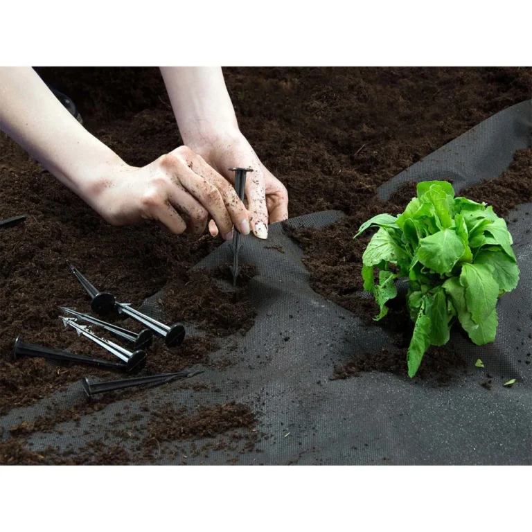 Vrtni Agrotekstil 1,6 M X 50 M 70 G/m2 + 100 Plonos Iglica Crni 5