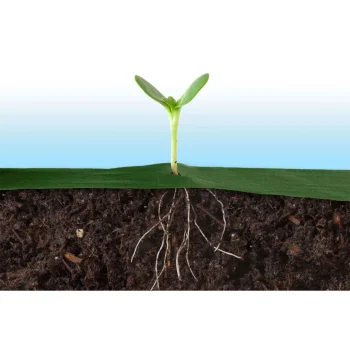 Vrtni Agrotekstil 1,6 M X 50 M 70 G/m2 + 100 Plonos Iglica Zeleni 10