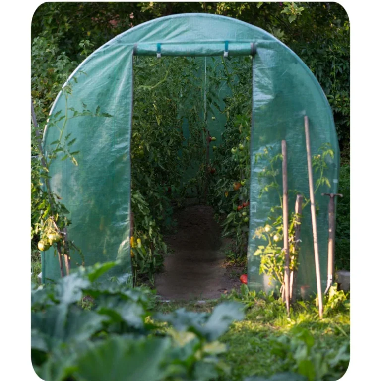 Vrtni Tunel 3 X 6 M (18 M2) Plonos, Zelena 11