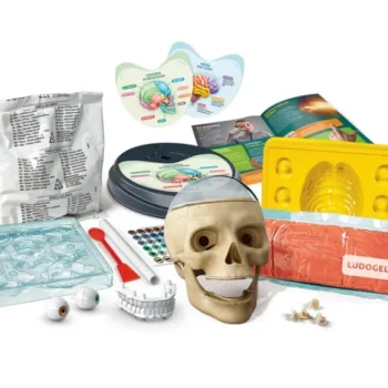 Znanstveno Zabavni Ludi Komplet Za Anatomiju Na Poljskom Jeziku Clementoni 50697 3