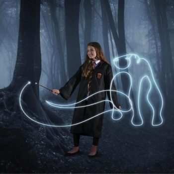 Čarobni štapić Harry Potter 2