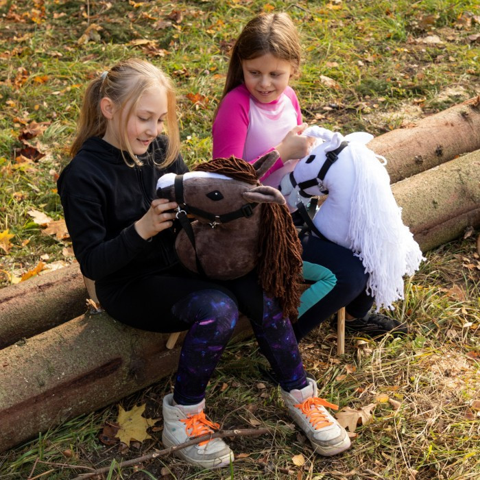 Konjić Na štapu A3, Crni 2